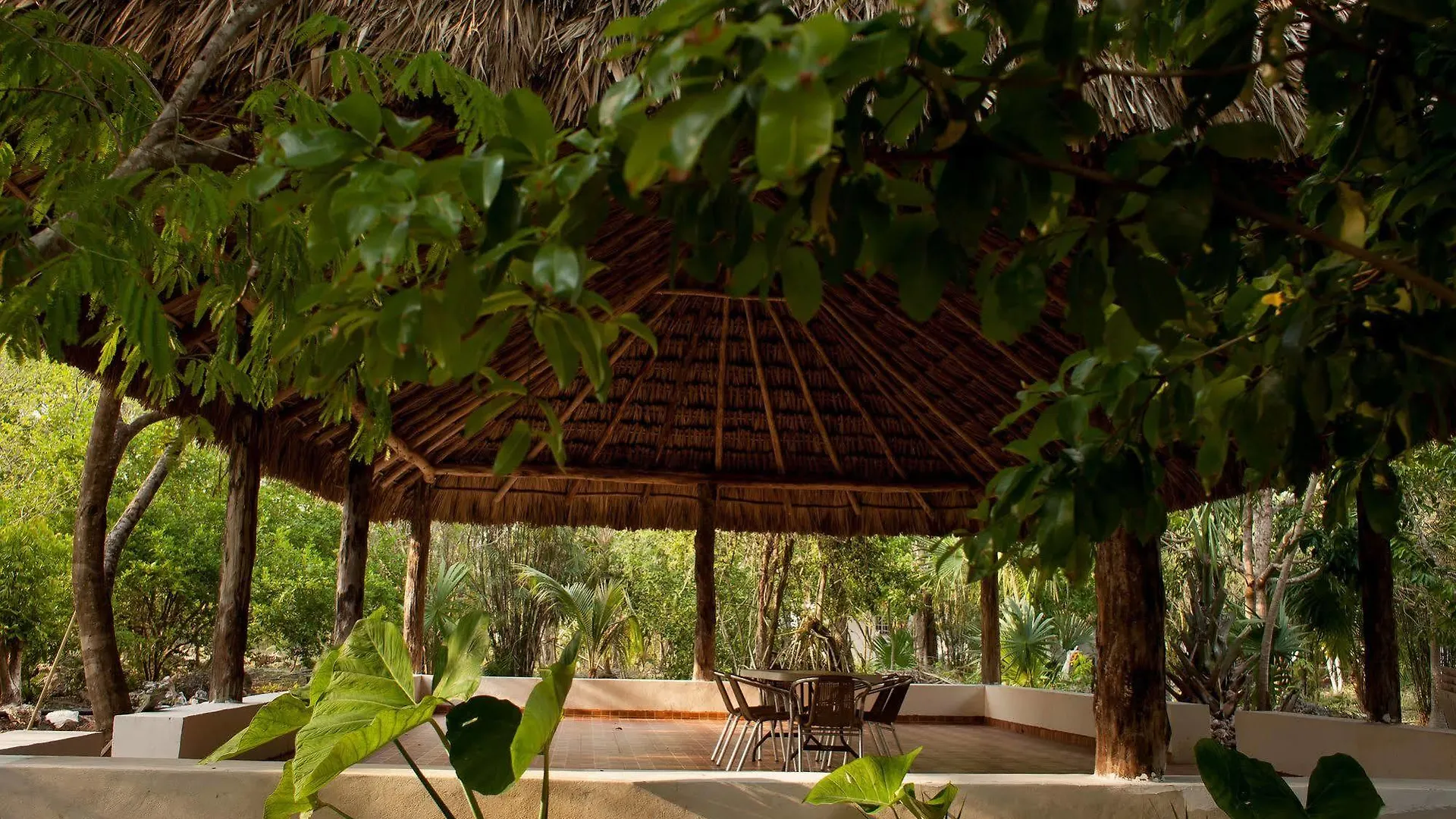 Lodge Casa Cenote Popol Vuh Villa Leona Vicario