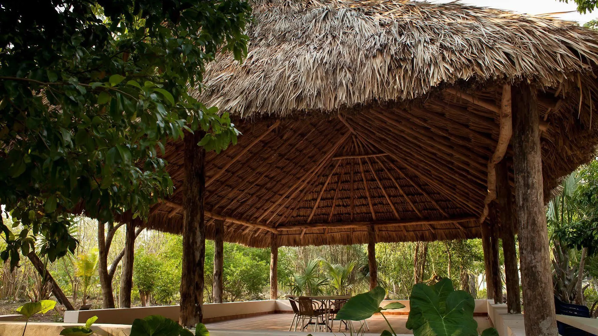 Lodge Casa Cenote Popol Vuh Villa Leona Vicario
