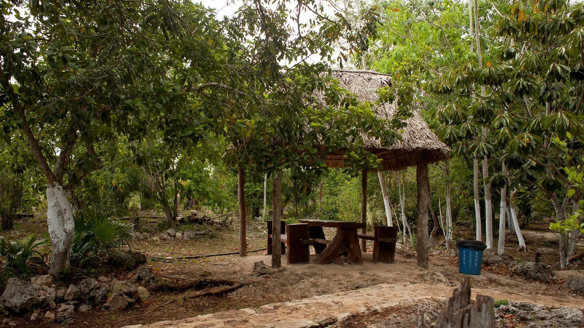 Casa Cenote Popol Vuh Villa Leona Vicario 0*,